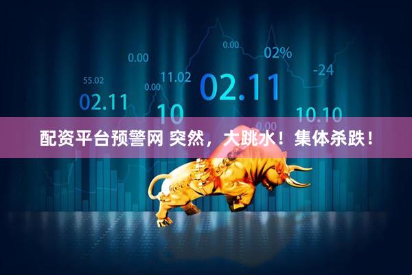 配资平台预警网 突然，大跳水！集体杀跌！