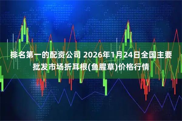 排名第一的配资公司 2026年1月24日全国主要批发市场折耳根(鱼腥草)价格行情