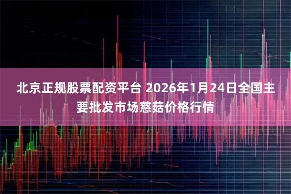 北京正规股票配资平台 2026年1月24日全国主要批发市场慈菇价格行情